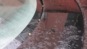 Spent shell casings on rear hood of abandoned vehicle