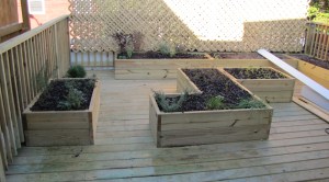 The Roof Top Rear Deck and Herb Garden Will Offer Seating in the Near Future