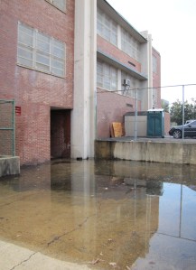 Water Collects on the North Side of Hine's East Building