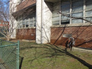 Wet Bricks on the 7th Street Side of Hine's West  Building Show Water Saturation from Inside the Building