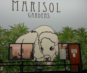 Marisol Gardens, Pueblo Colorado, recreational marijuana outlet