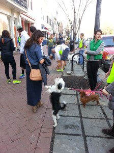 Last Saturday’s dog adoption at Howl to the Chief on Barracks Row