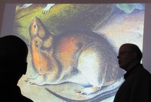 The Norwegian Rat, by James Audubon