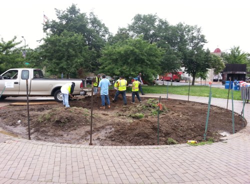 City Contractors Remove Rat Friendly Habitats on Metro Plaza - June 12, 2014
