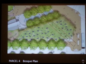 Graphic Illustrating the Location of Tables and Chairs which will Lie Beneath the Canopy of a Grove of Trees 