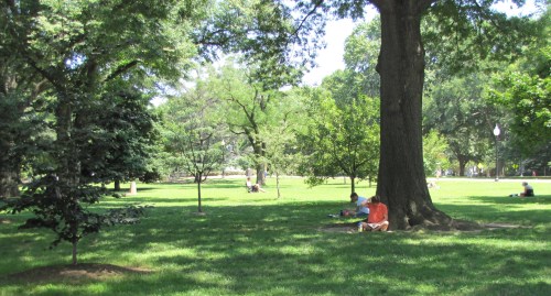 Lincoln Park, Sunday Afternoon, circa 2:30pm, July 6, 2014
