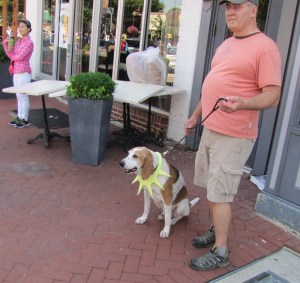 Sometimes Liberty Is on a Short Leash