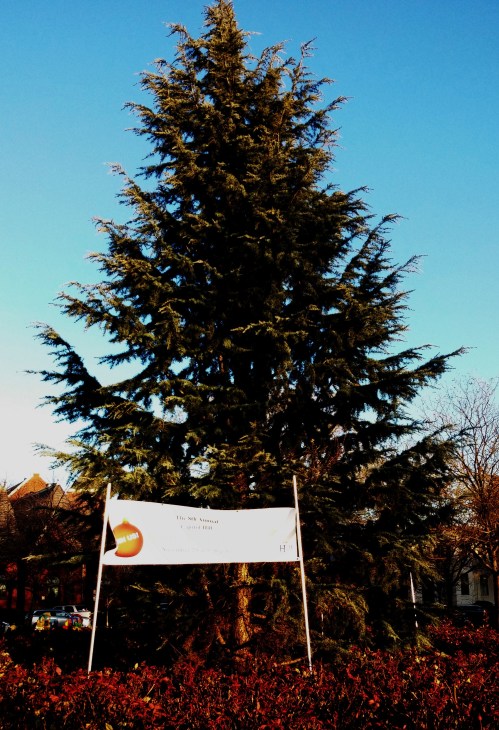 "Big George" Eastern Market Metro Plaza's Holiday Tree Will Light Up Next Saturday
