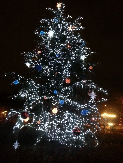Holiday Tree and Menorah, Eastern Market Metro Plaza, 2014