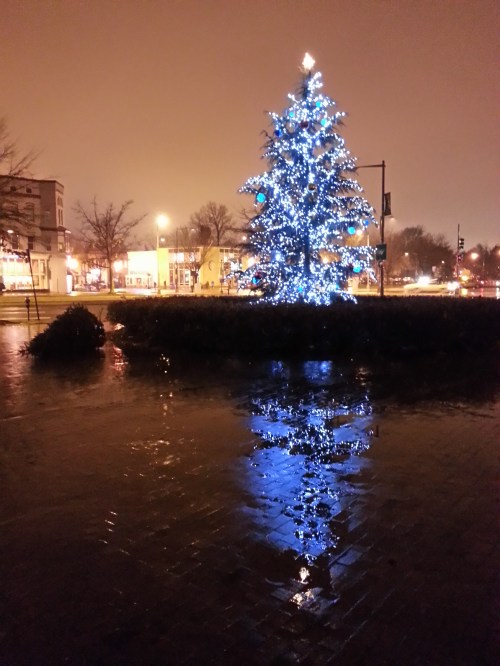 Holiday Tree, Eastern Market Metro Plaza, 2013