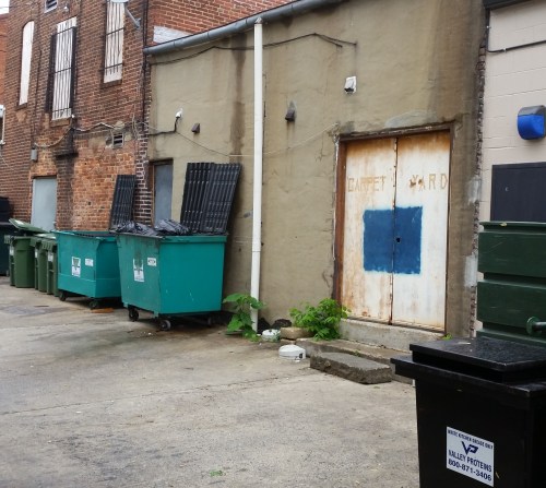 Alley scene, west side of 700 block of 8th Street, SE.  The building in the center is the rear of Homebody, the future home of 