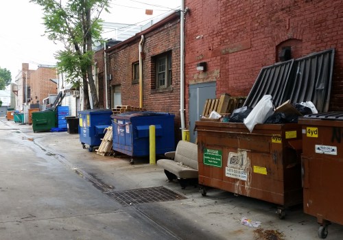 Alley scene, west side of 600 block of 8th Street, SE, circa 8:30am Sunday, May 17