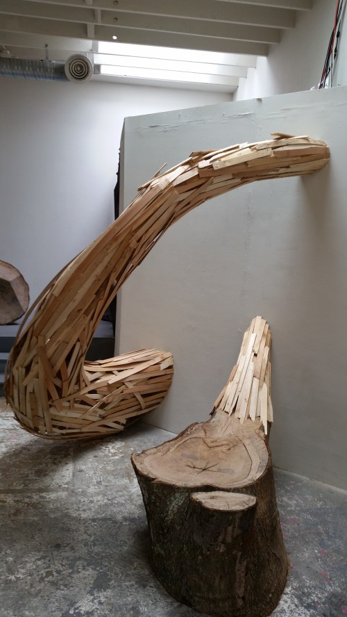 Apoptosis - Works by Peter Krsko will be on view at The Fridge, 516 8th Street, SE, Rear Alley, until June 6.