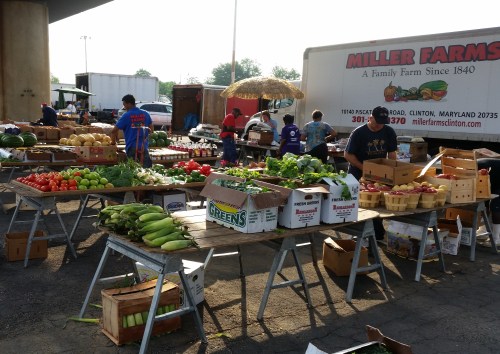 Vendors at RFk Farmers Market