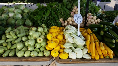 Squash - Zucchini, Pattycake, and Yellow