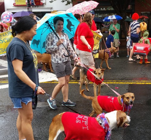 The Rural Dog Rescuers Marched - hoping, perhaps for adoptions (www.ruraldogrescue.com)