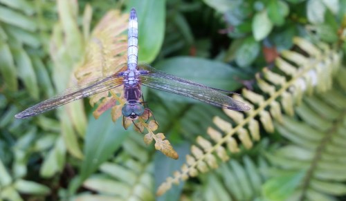 The waning of summer....