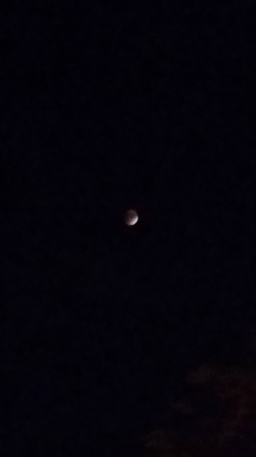 Lunar Eclipse Viewed from Capitol Hill circa 10:25pm, tonight