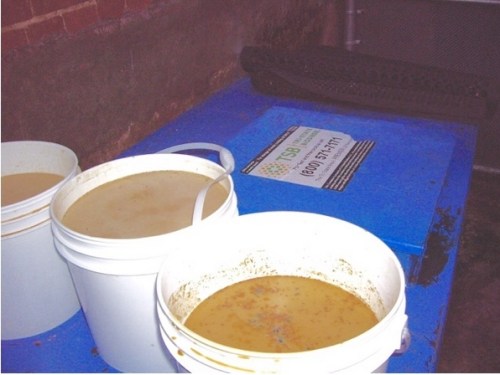 Grease in open buckets on top of biofuel dumpster behind Good Stuff Eatery, October 11, 2015