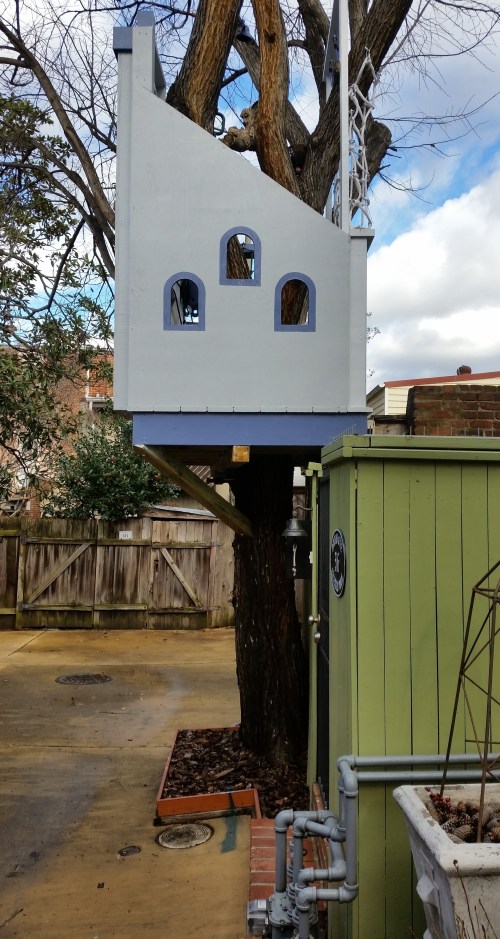 The green line on the ground is where DDOT says the owners' property line ends.