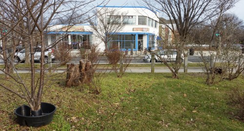 Residents fear phe proximity to nearby green space will encourage loitering.