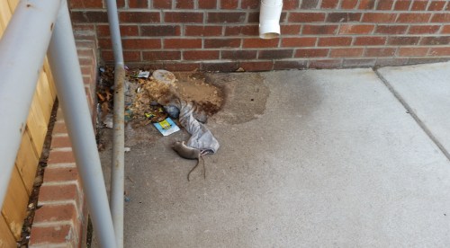 And predictably.....sure enough.  