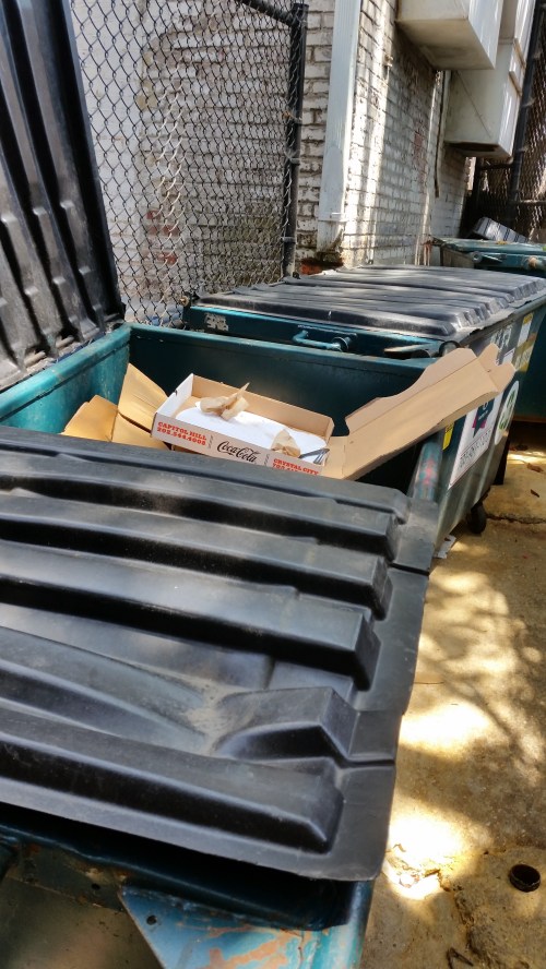In the midst of a license renewal and a dispute with ANC and neighbors over trash management, a walk down the alley behind the Mendelsohn restaurants  today at 2:00pm revealed an open dumpster.
