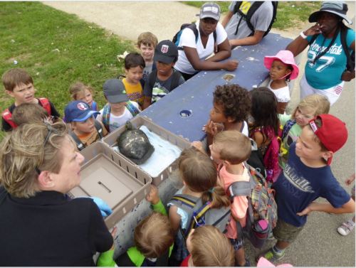 A summer camp group in Kinston Park gets a lesson in herpetology 