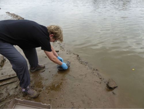 Preparing for launch