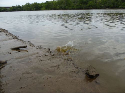 There's no place like home