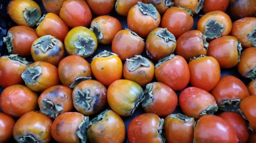 Persimmons.  Saturday, October 8, circa 9:00am at Agora Farms stall, Eastern Market