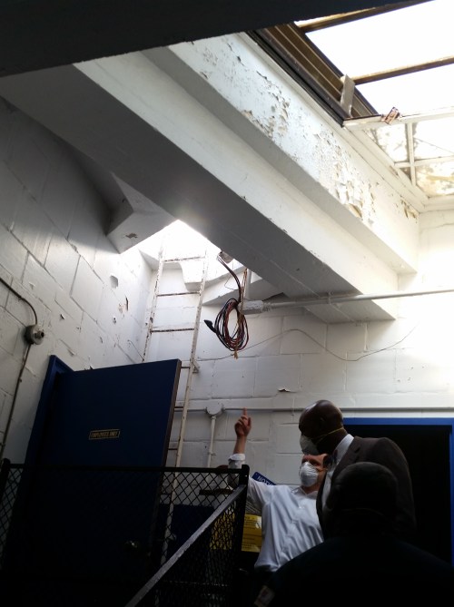 Up more stairs to an opening to the roof, with the floor below slick with moisture and  pigeon droppings.  Neighbors say swarms of mosquitoes arise from pools of water on the roof. 