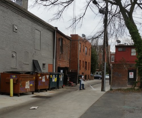 The attention caused nearby restaurants to take a look - at least temporarily - at their own parts of the alley.