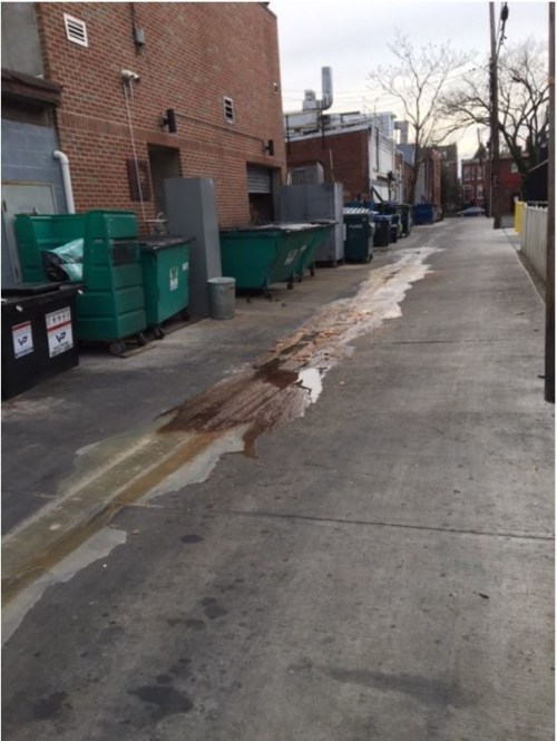 The dump turned the alley into a grease run.  