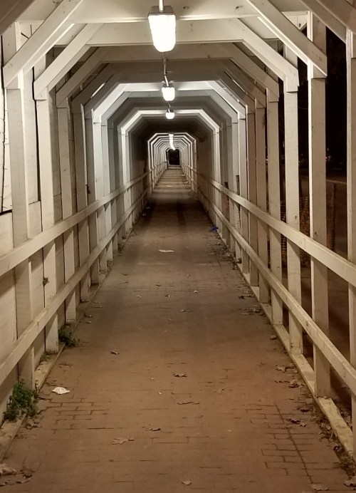 Covered walk way at the Hine Project, on 8th Street, SE. 